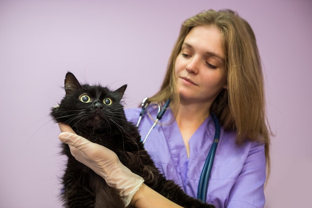 Veterinario femminile che tiene in braccio un gatto nero in clinica