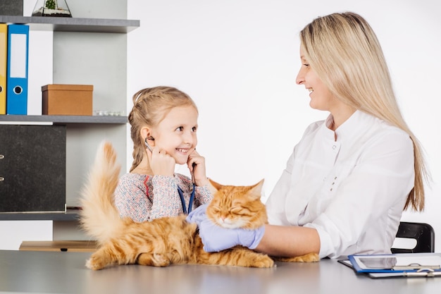Veterinario femminile e ragazza con gattino in clinica