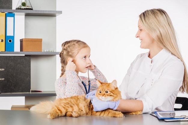 Veterinario femminile e ragazza con gattino in clinica