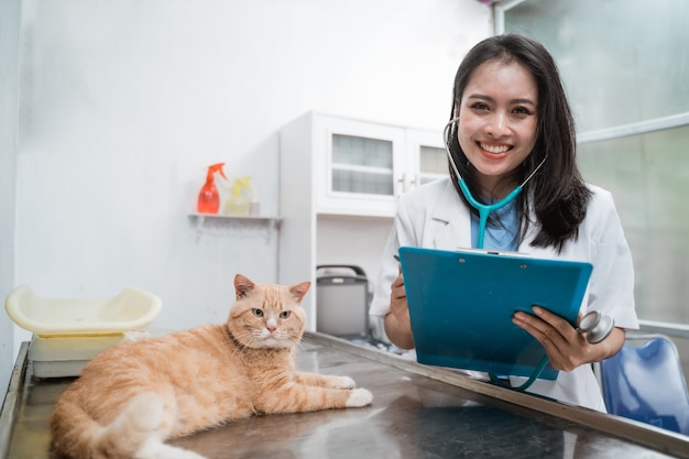 Veterinario femminile felice che esamina un gatto marrone in clinica veterinaria