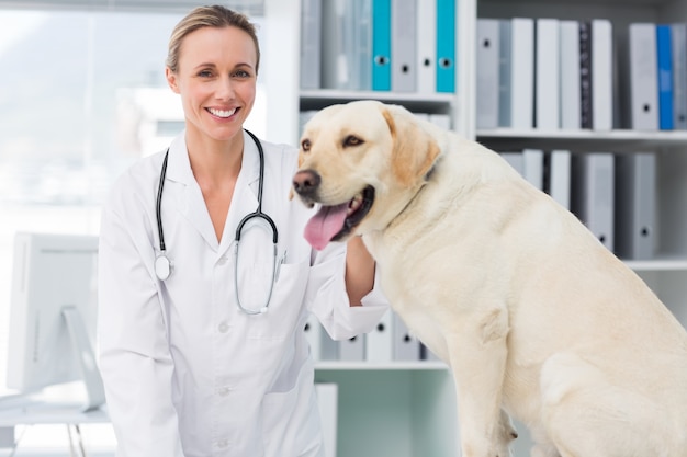 Veterinario femminile sicuro con il cane