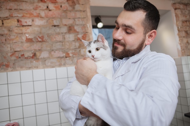 Veterinario maschio con un gatto nella sua clinica