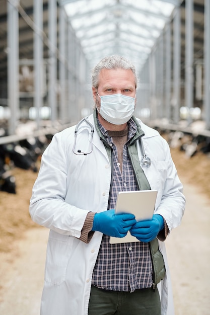 Veterinario maschio maturo dai capelli grigi in camice bianco, guanti protettivi e maschera utilizzando tablet mentre in piedi contro il corridoio tra paddock