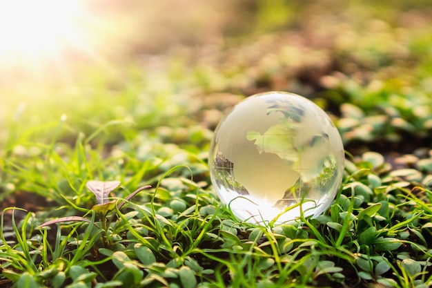 Vetro del globo su erba verde con il sole. concetto di ambiente