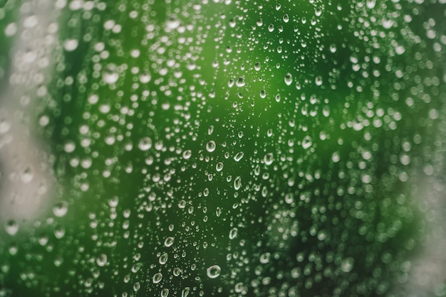 Vetro della finestra con gocce di pioggia. Priorità bassa verde atmosferica con le gocce di pioggia nel bokeh.