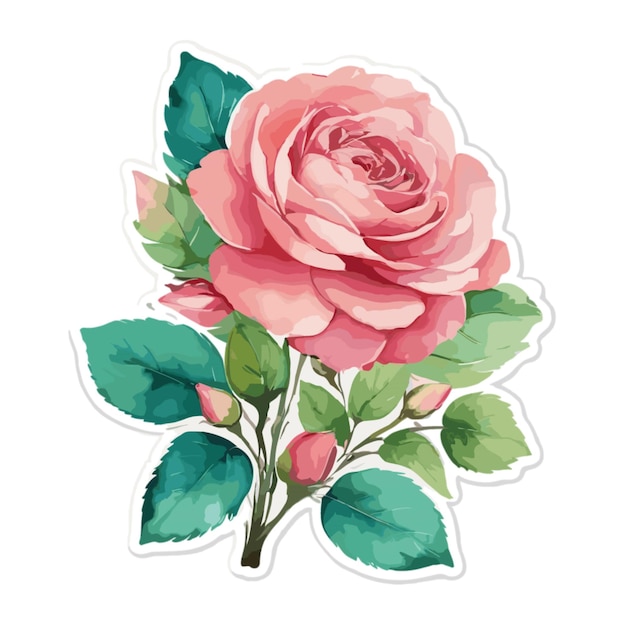 Vettore di disegno floreale rosa su sfondo bianco