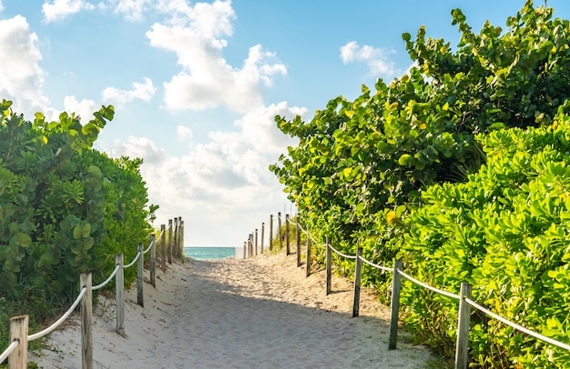 Via alla spiaggia di Miami in Florida con l'oceano