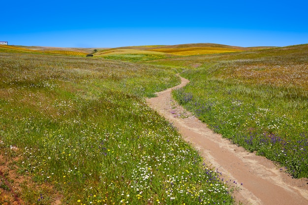 Via de la Plata in Estremadura Spagna