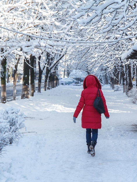 Via della città dopo la nevicata Alberi coperti di neve I pedoni irriconoscibili stanno camminando