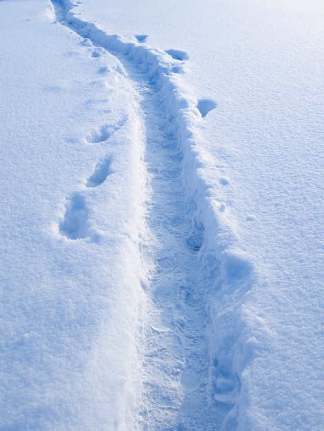 Via di inverno sul campo di neve fresca