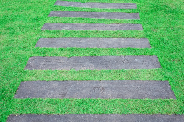 Via di legno nel giardino dell'erba