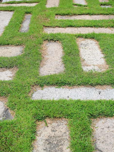 Via di pietra nel parco con sfondo verde erba