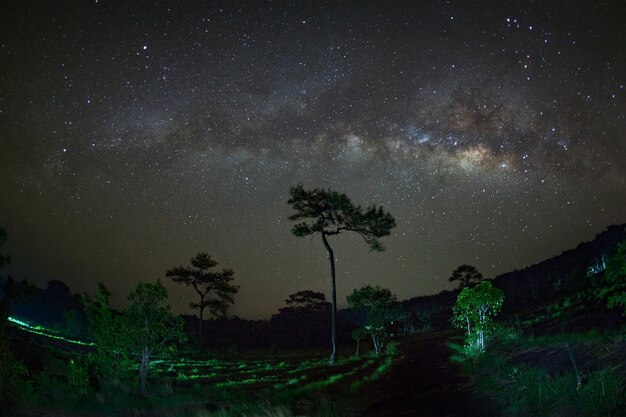 Via Lattea al Parco Nazionale di Phu Hin Rong KlaPhitsanulok Thailandia Fotografia a lunga esposizione con grano