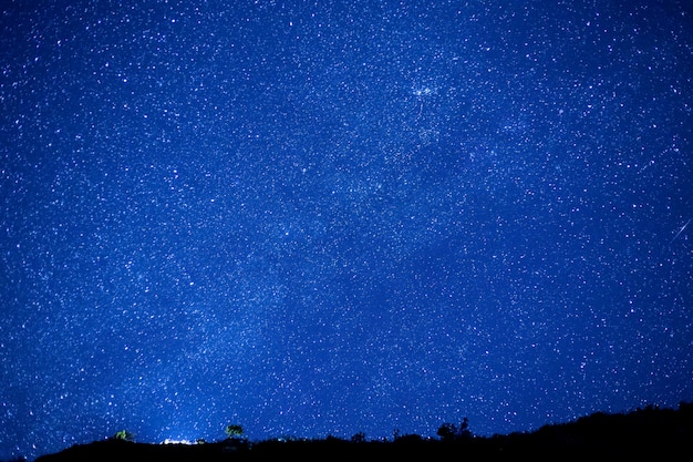 Via Lattea e sagoma dell&#39;albero sulla cima della montagna