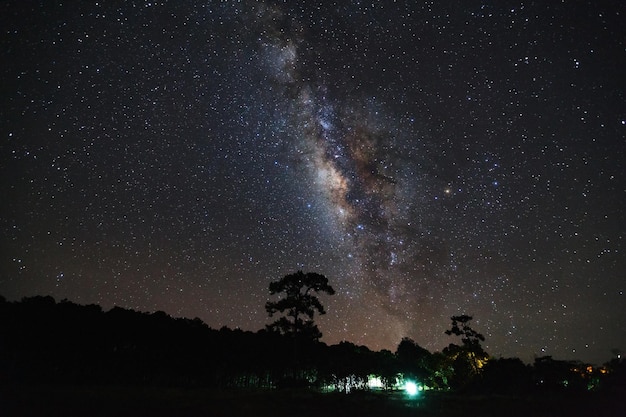 Via Lattea e silhouette di albero a Phu Hin Rong Kla National ParkPhitsanulok Thailandia