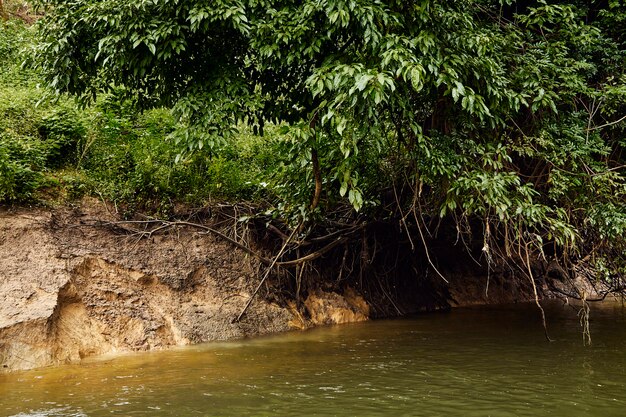 Viaggia sul fiume Kanchanaburi Kwai Yai