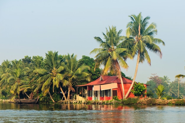 Viaggia verso le bellissime backwaters del Kerala e goditi il paesaggio di palme, Alappuzha, India
