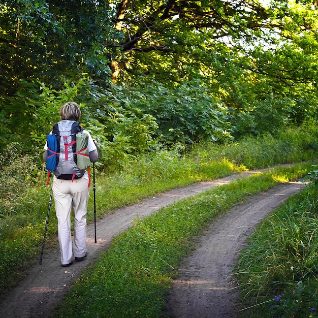 Viaggiatore con uno zaino e bastoncini da trekking. Viandante della donna nella foresta. Vista dal retro. Fotografato in Russia.