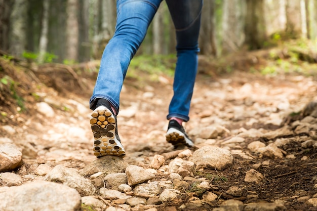 Viaggiatore davanti al sentiero nella foresta