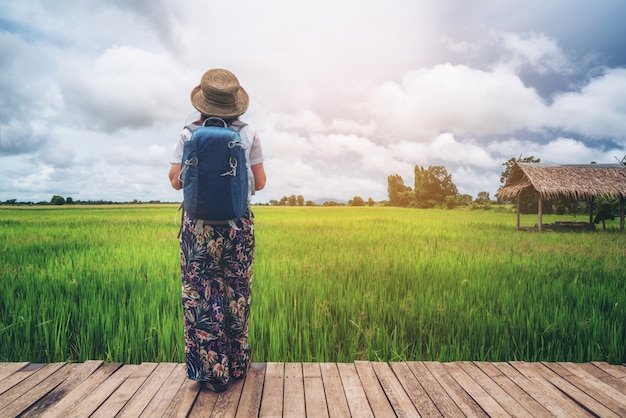 Viaggiatore della donna che fa un'escursione il paesaggio asiatico del giacimento del riso.