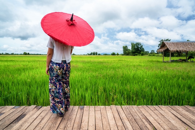 Viaggiatore della donna che fa un'escursione il paesaggio asiatico del giacimento del riso.