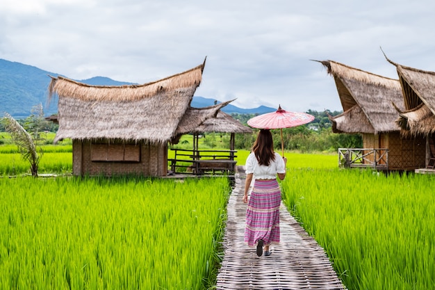 Viaggiatore della giovane donna che guarda e che si rilassa con la bella risaia verde