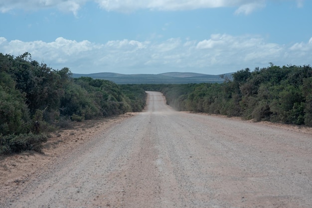 Viaggiatore mistico