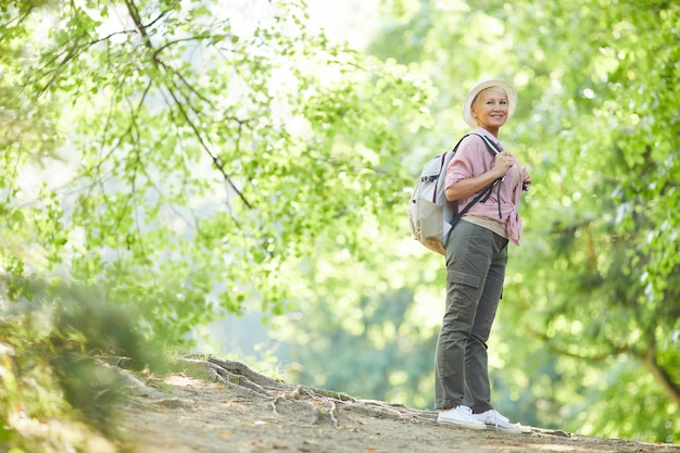 Viaggiatore nella foresta