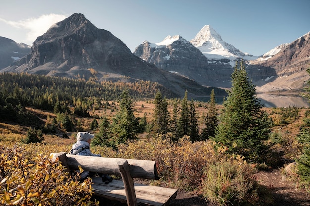 Viaggiatore seduto su una sedia con il monte Assiniboine nella foresta autunnale al parco provinciale BC Canada