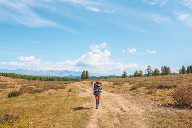 Viaggiatore solo con un grande zaino cammina lungo il sentiero escursionistico sull'altopiano soleggiato sotto le nuvole bianche nel cielo blu Zaino in spalla con macchina fotografica in autunno trekking in montagna con il bel tempo