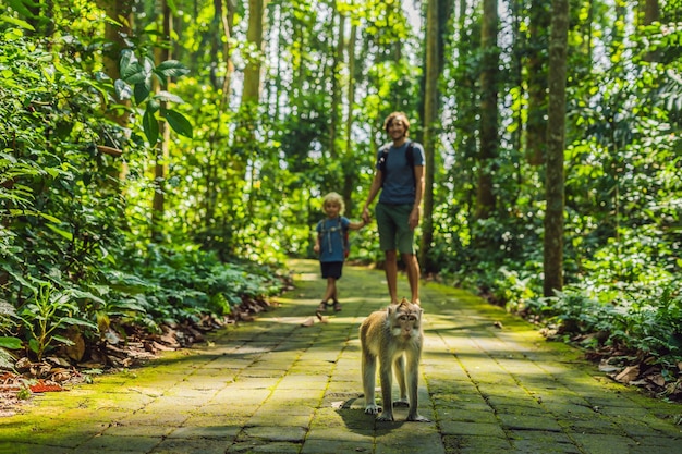 Viaggiatori di papà e figlio che scoprono la foresta di Ubud nella foresta delle scimmie Bali Indonesia Viaggiare con il concetto di bambini