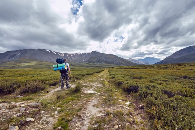 Viaggio a piedi attraverso le valli montane. La bellezza della fauna selvatica. Altai, la strada per i laghi Shavlinsky. escursione