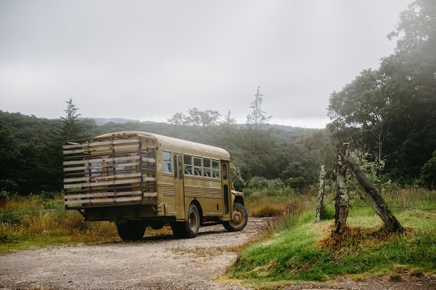 Viaggio d'epoca o autobus da campeggio nel mezzo della foresta