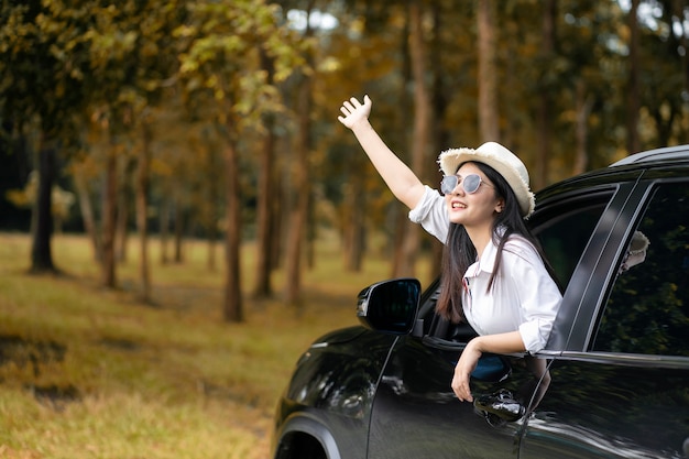 Viaggio in auto in estate, gruppo di amici maschi e femmine godendo il viaggio in auto