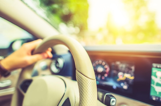 Viaggio in auto in un giorno di sole