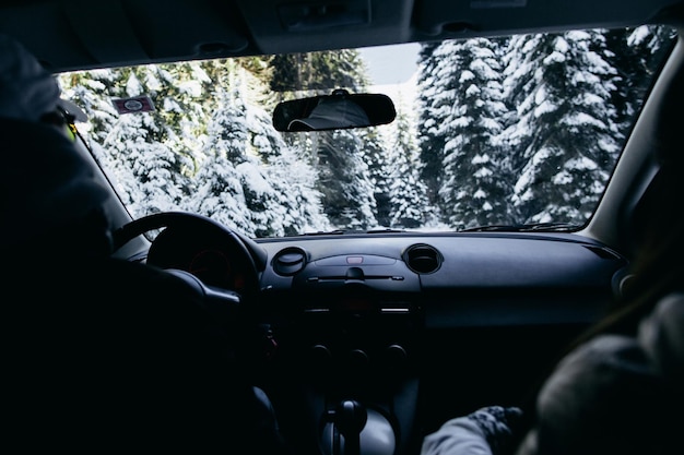 Viaggio in auto nella foresta invernale Vista dall'auto, Zabljak.