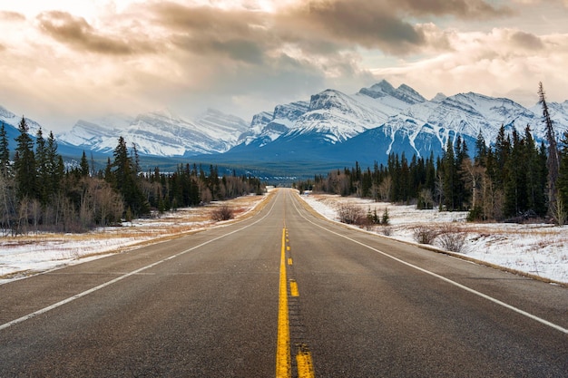 Viaggio in autostrada tra la foresta di pini guidando dritto verso le montagne rocciose in Icefields Parkway