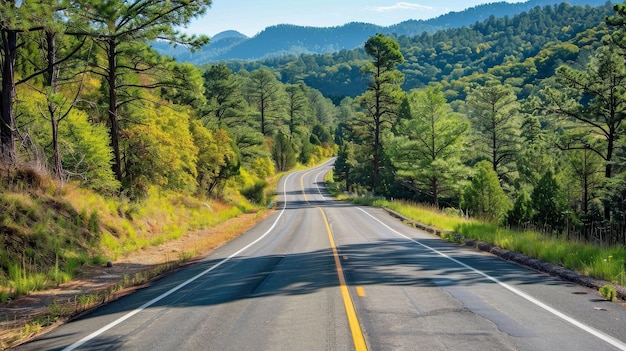 Viaggio in campagna percorsi panoramici e sapori locali libertà su ruote