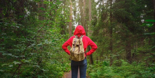 viaggio in estate Russia Komarovo villaggio sentiero ecologico Komarovsky costa Donna da dietro rilassante nel parco sentiero escursione percorso passerelle poste nella foresta nel distretto di Kurortny di San Pietroburgo