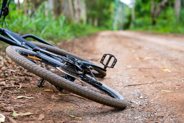 Viaggio in mountain bike con una bellissima strada di trasporto in campagna nel viaggio nella foresta della natura