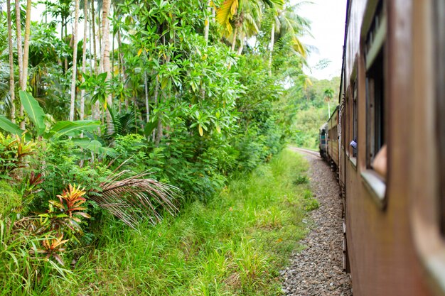 Viaggio in treno in Sri Lanka. Uomo appeso a un carro