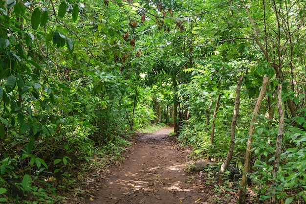 Viaggio nella natura a Little Corn Island