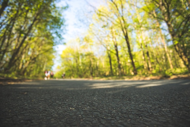 Viaggio o avventura Prospettiva di primo piano di una foresta di strada sullo sfondo sfocato