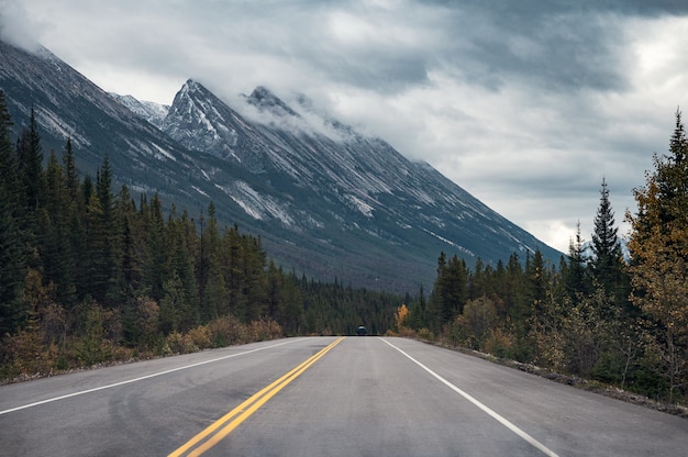 Viaggio stradale con le montagne rocciose nella foresta di autunno su tenebroso al parco nazionale di Banff