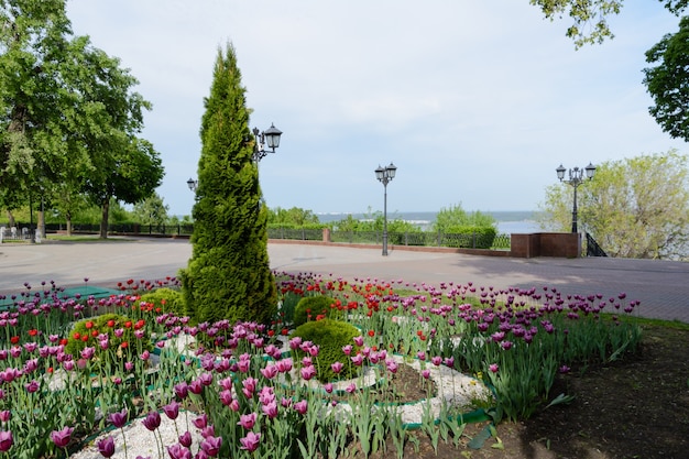 Viale della Corona. Argine del Volga a Ulyanovsk, Russia. Primavera.