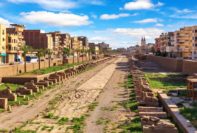 Viale delle Sfingi tra i templi di Karnak e Luxor in Egitto