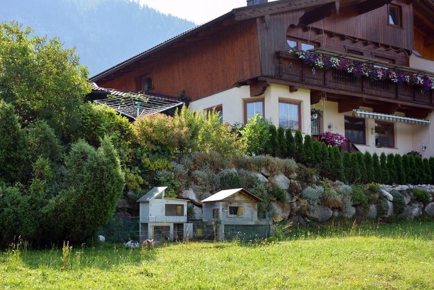 Vicino al cottage del villaggio ci sono gabbie con cabine con conigli domestici Natura e architettura pittoresche