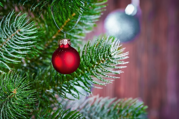 vicino albero di natale con decorazioni