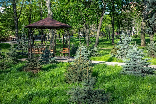 Vicoli e gazebo nel parco della vittoria a Odessa Ucraina