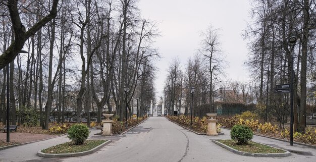 vicolo centrale nel parco Gorky a Mosca in autunno